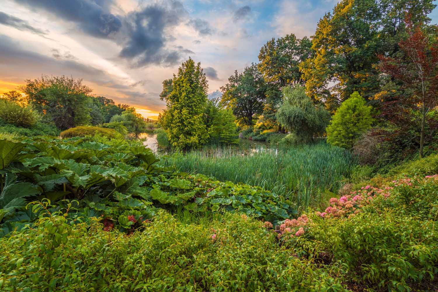 IGPOTY Competition 15 1st place - Beautiful Gardens "Greenery by the Pond"